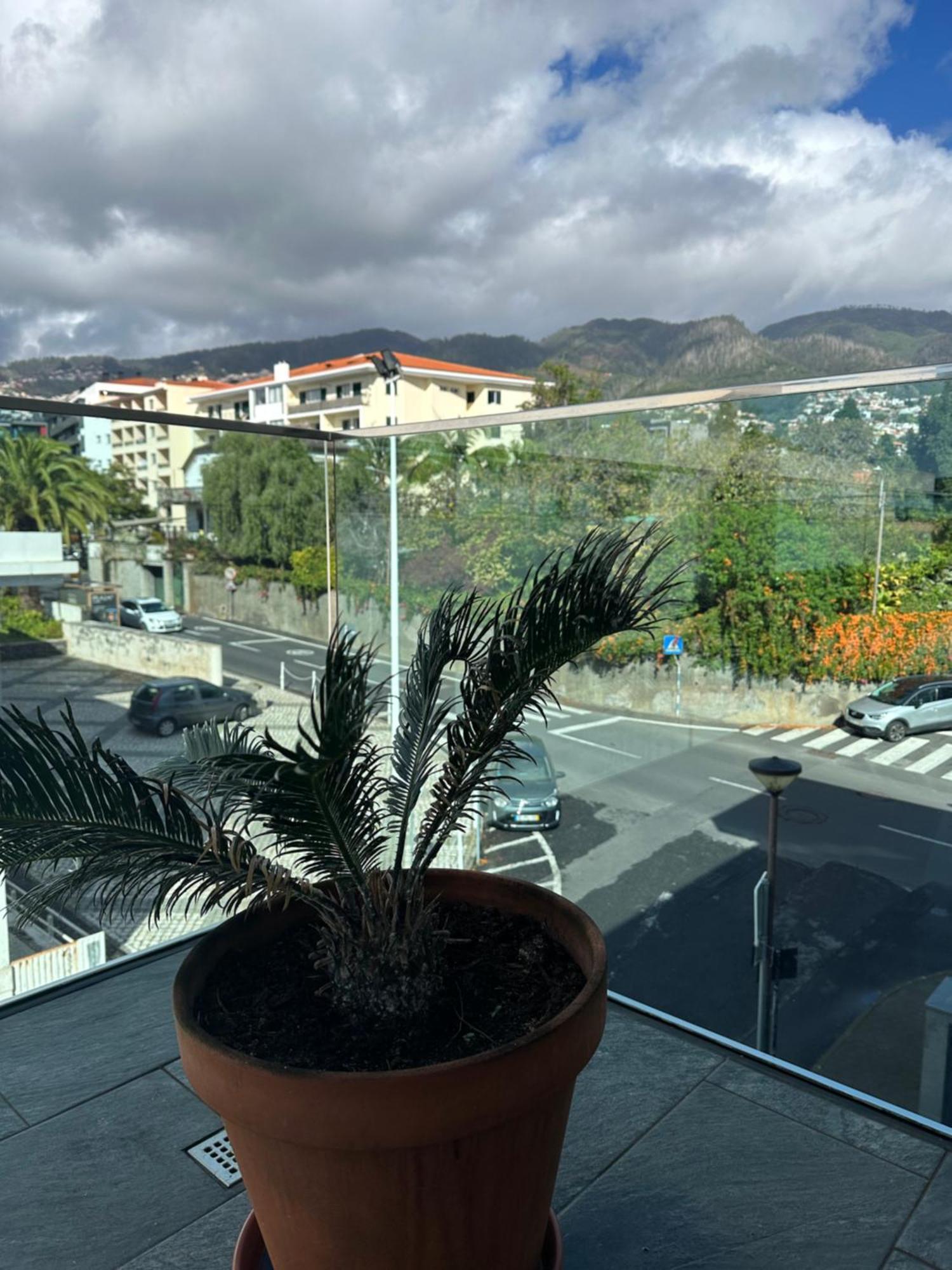 Raphael Funchal Views Apartment Kültér fotó